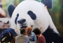Cina, in aumento dell’11,3% i ricavi dell’industria pubblicitaria