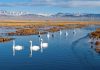 Cina, un piano per rendere gli ecosistemi più resilienti entro il 2030