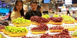 Cina, vendita al dettaglio di beni e servizi a +2,6% nei primi 7 mesi