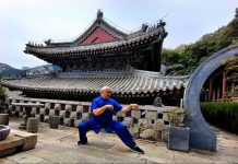 Cina-Italia, Angelo D’Aria “Arti marziali strettamente legate a cultura nazionale”