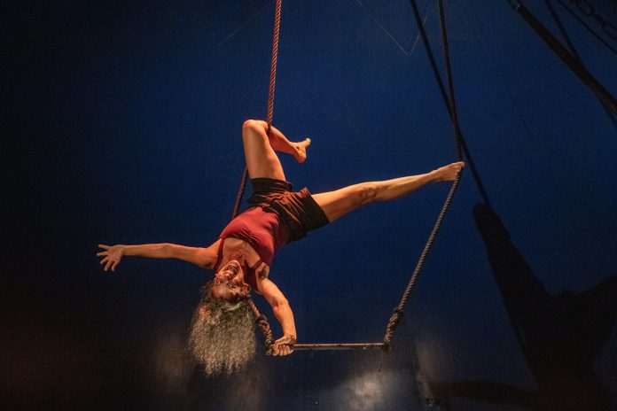 CIRCO PANIKOI 1