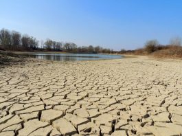Crisi idrica, Carra: “La Lombardia dichiari l’emergenza e agisca subito”