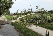 Tromba d’aria su Mantova: al lavoro le squadre per la messa in sicurezza