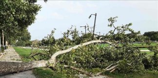 Tromba d’aria su Mantova: al lavoro le squadre per la messa in sicurezza