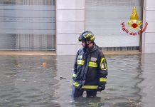 Fortunale nella Bassa Veronese, danni e allagamenti. Alberi caduti sulla ferrovia per Nogara