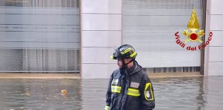 Fortunale nella Bassa Veronese, danni e allagamenti. Alberi caduti sulla ferrovia per Nogara