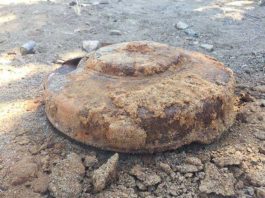 Villa Saviola, mina anticarro emerge dalla secca del Po: domani brillamento, area chiusa