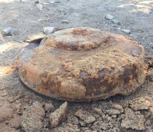 Villa Saviola, mina anticarro nel Po: domani brillamento e strada chiusa