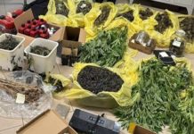 Motteggiana, litiga col fornaio e incendia auto e furgone. I carabinieri perquisiscono casa sua e trovano la droga: arrestato 41enne