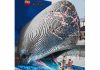 Gardaland, la balena Laboon prende forma con oltre 25mila mattoncini Lego