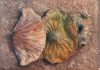 Mantova, “Le nature vive” di Patrizia Beltrami in mostra al Palazzo del Plenipotenziario
