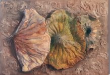 Mantova, “Le nature vive” di Patrizia Beltrami in mostra al Palazzo del Plenipotenziario