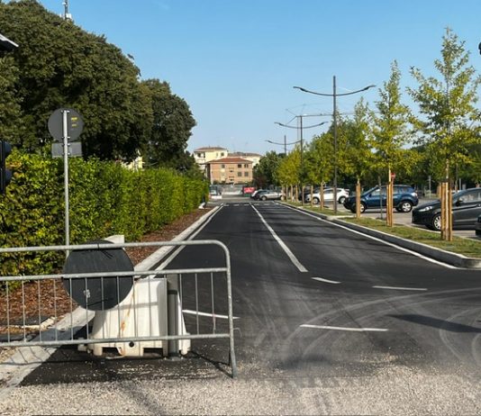 Stadio Martelli, Fi: «Con i lavori del sottopasso accesso complicato e 80 parcheggi persi»