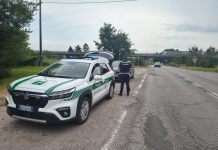 Sperona la Polizia Locale per fuggire e scappa tra sorpassi e contromano: denunciato 30enne