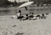 Ferragosto d’altri tempi: il Po e lo Zappetto, le spiagge dei mantovani