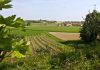 Strade dei Vini, Carra: fondi insufficienti per la promozione lombarda