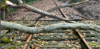 Maltempo, stop ai treni tra Verona e Poggio Rusco: deviazioni via Mantova