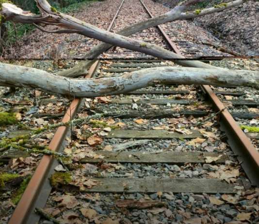 Maltempo, stop ai treni tra Verona e Poggio Rusco: deviazioni via Mantova