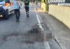 Borgo Virgilio, pitbull sfugge al controllo del padrone e uccide un altro cane