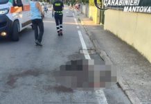 Borgo Virgilio, pitbull sfugge al controllo del padrone e uccide un altro cane
