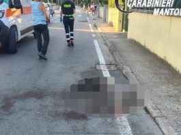 Borgo Virgilio, pitbull sfugge al controllo del padrone e sbrana un altro cane uccidendolo