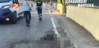Borgo Virgilio, pitbull sfugge al controllo del padrone e sbrana un altro cane uccidendolo