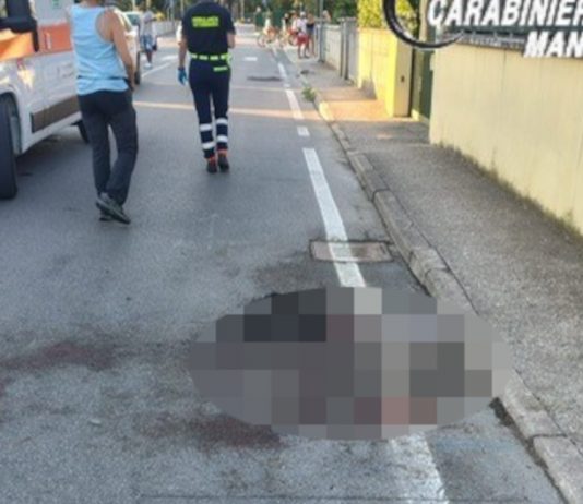 Borgo Virgilio, pitbull sfugge al controllo del padrone e sbrana un altro cane uccidendolo