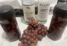 Bozzolo, vendemmia speciale: il sindaco Torchio riporta in campo l’antico Bramastone
