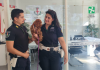 Mantova, cagnolino smarrito ritrova il padrone grazie agli agenti della Polizia Locale