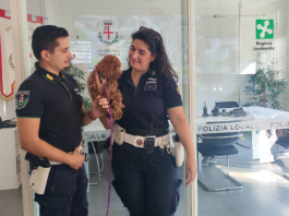 Mantova, cagnolino smarrito ritrova il padrone grazie agli agenti della Polizia Locale
