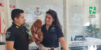 Mantova, cagnolino smarrito ritrova il padrone grazie agli agenti della Polizia Locale