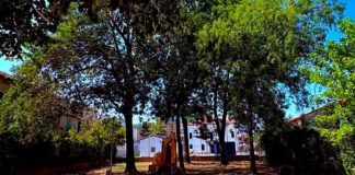 Suzzara, demolito il vecchio edificio ai Giardini Verga: più sicurezza e nuovo verde