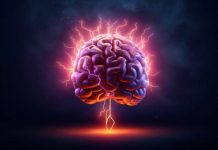 Scoperto nel cervello ‘freno’ che disattiva il dolore cronico, lo studio
