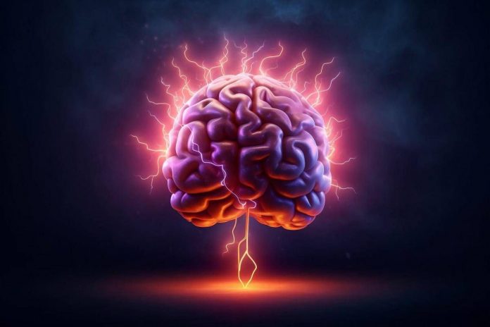 cervello98_123rf_free-1