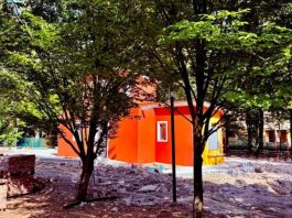 Suzzara avvia la selezione per il nuovo chiosco-bar ai Giardini “Gina Bianchi”