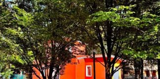 Suzzara avvia la selezione per il nuovo chiosco-bar ai Giardini “Gina Bianchi”