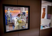 Verona, gravissimo il 18enne colpito da una bottigliata: “Tenuto in vita da terapie di supporto”