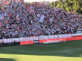 Il Mantova riapre la campagna abbonamenti: sei giorni di tempo per sottoscrivere la tessera