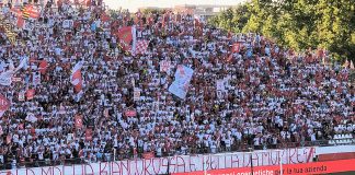 Il Mantova riapre la campagna abbonamenti: sei giorni di tempo per sottoscrivere la tessera