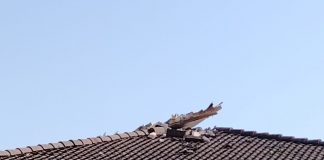 Maltempo, Confcommercio Mantova fa la conta dei danni: parte la ricognizione tra le imprese