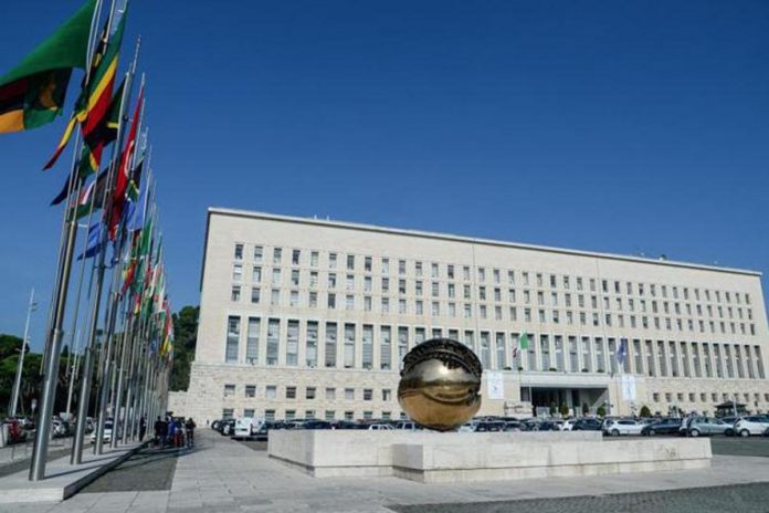 farnesina_ipa_fg_1-0-3217744760-0221_1-1-34021420-kr3f-u11242956417coc-750x500_produzione