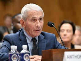 Covid, Senato Usa dichiara Fauci colpevole di oltraggio al Congresso