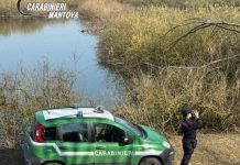 Canneto sull’Oglio, derivazione d’acqua abusiva: intervengono i Carabinieri Forestali