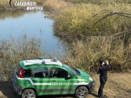 Canneto sull’Oglio, derivazione d’acqua abusiva: intervengono i Carabinieri Forestali