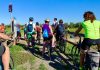 Mantova, Basso Mincio Line debutta con la biciclettata del 6 settembre