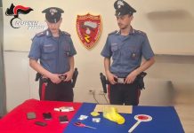 Spaccio lungo il Po, i Carabinieri smantellano un sodalizio criminale