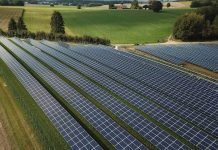 Fotovoltaico agricolo: +1,8% di energia pulita grazie ai progetti Confagricoltura