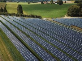 Fotovoltaico agricolo: +1,8% di energia pulita grazie ai progetti Confagricoltura