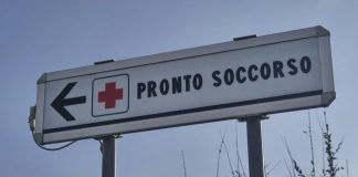 Due bambine azzannate da un cane randagio a Bari: una è in rianimazione