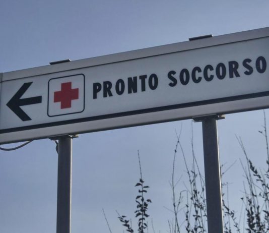 Due bambine azzannate da un cane randagio a Bari: una è in rianimazione